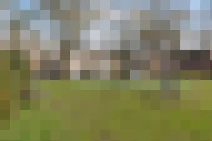 Hoek 11 Bergeijk thumbnail 48