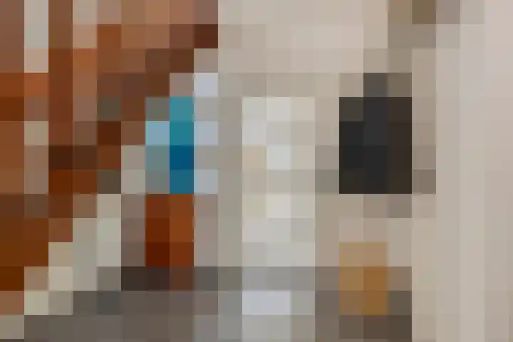 Hoek 11 Bergeijk thumbnail 5