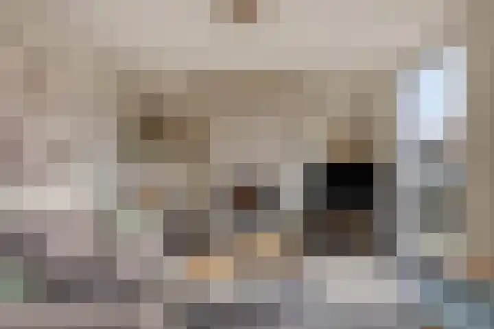 Hoek 11 Bergeijk thumbnail 9