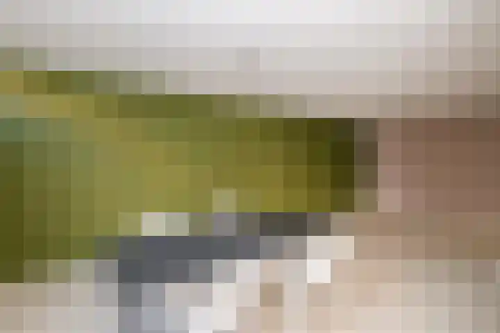 Hoek 14 Genemuiden thumbnail 5