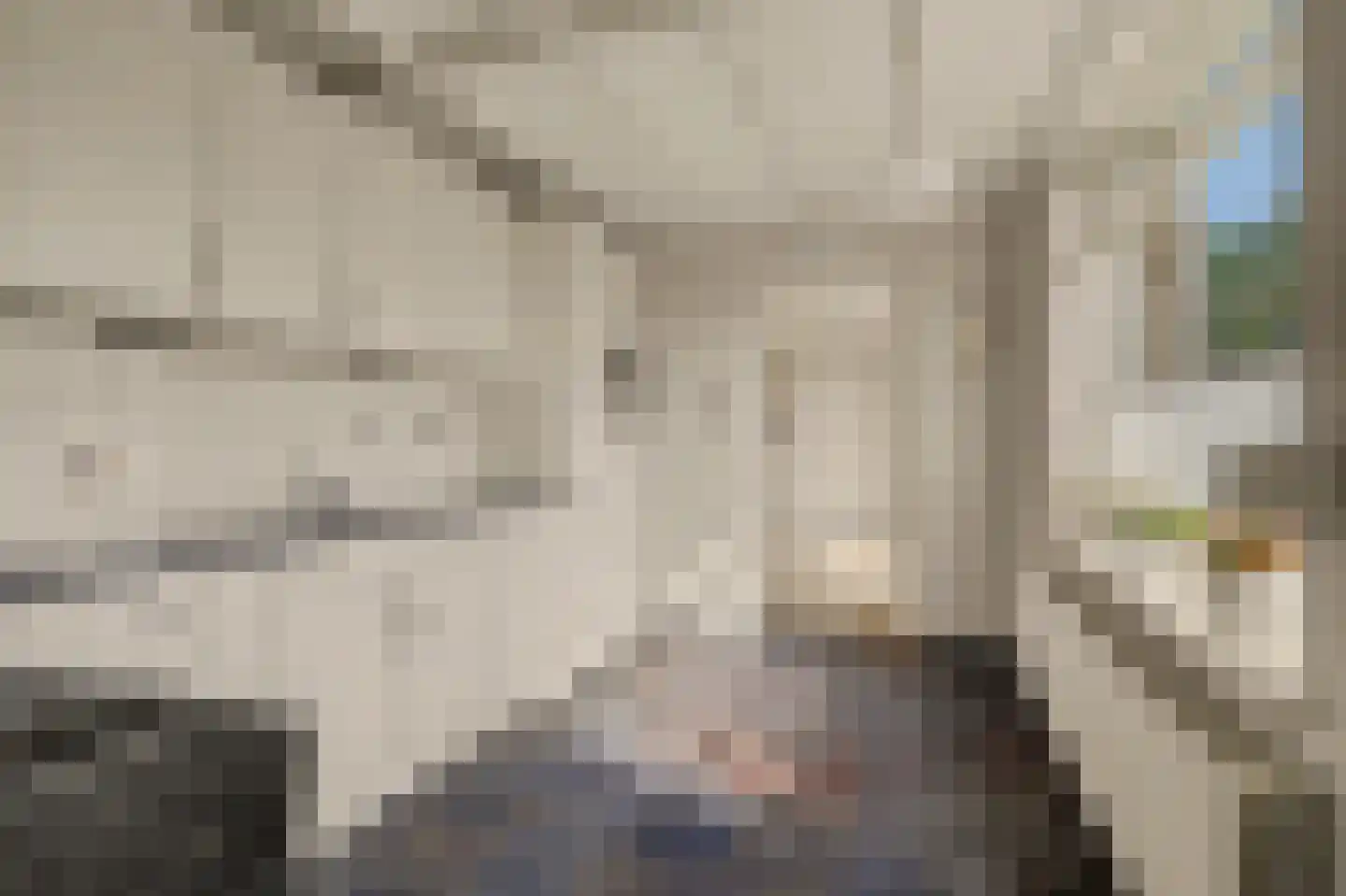 Hoek 19 Dussen thumbnail 11