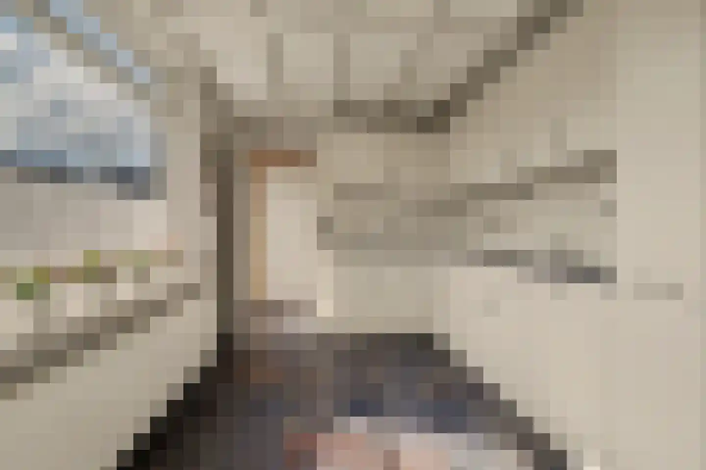 Hoek 19 Dussen thumbnail 5