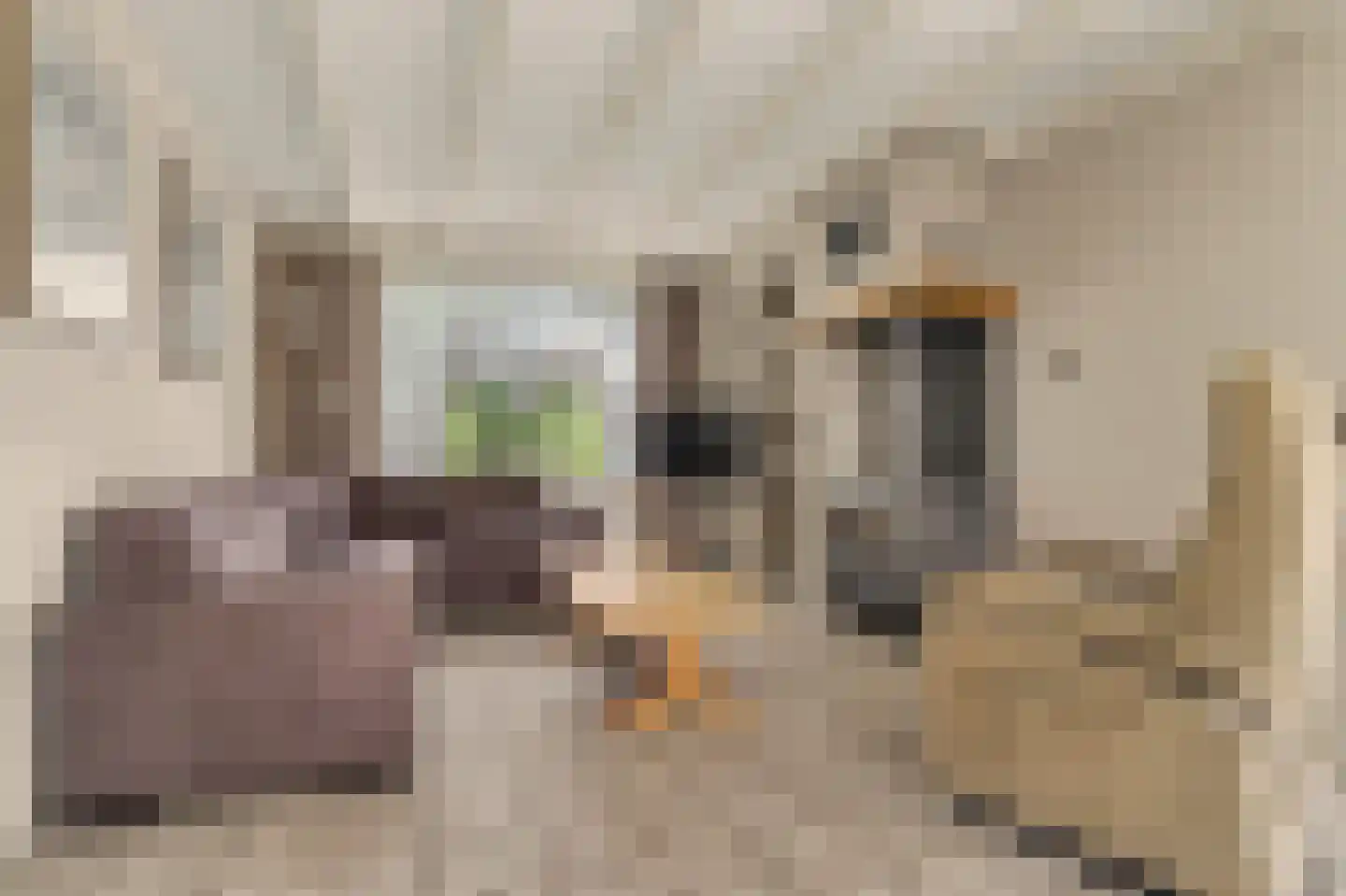 Hoek 19 Dussen thumbnail 9
