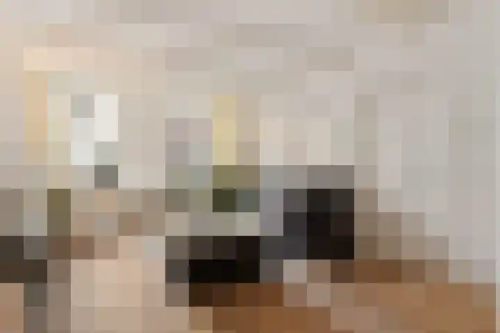 Hoek 22 Genemuiden thumbnail 10