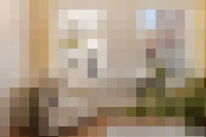 Hoek 22 Genemuiden thumbnail 12