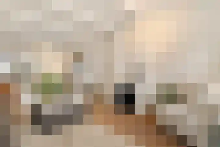 Hoek 22 Genemuiden thumbnail 13