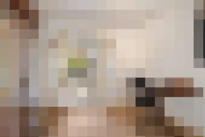 Hoek 22 Genemuiden thumbnail 15