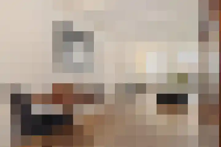 Hoek 22 Genemuiden thumbnail 16