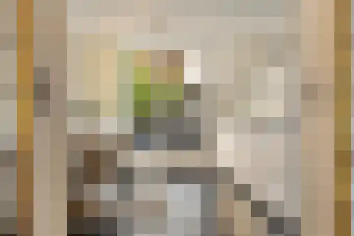 Hoek 22 Genemuiden thumbnail 17