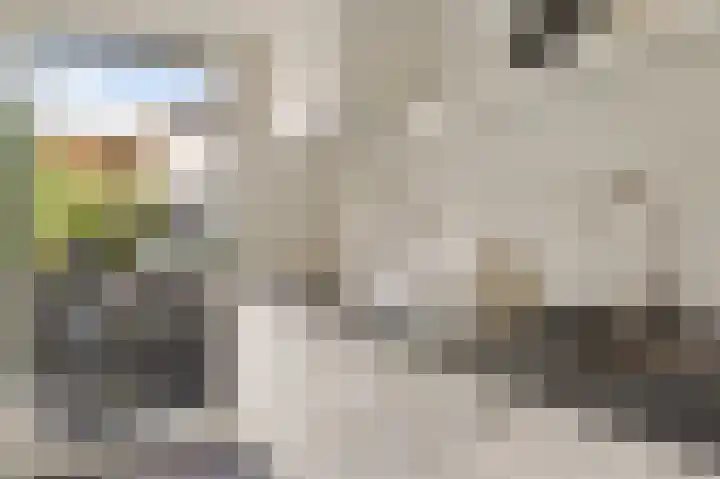Hoek 22 Genemuiden thumbnail 18