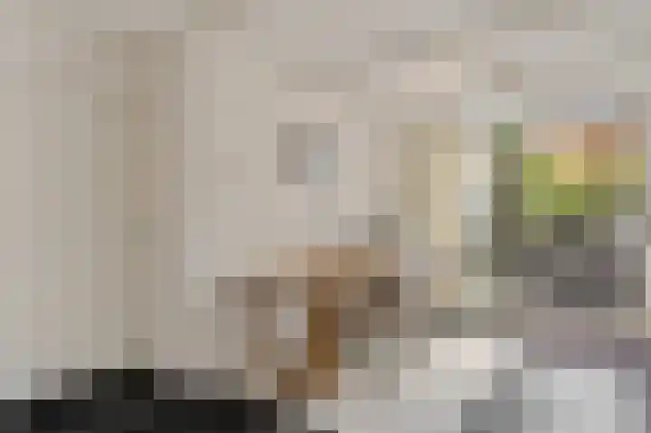 Hoek 22 Genemuiden thumbnail 19
