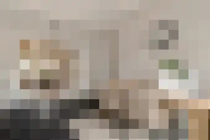 Hoek 22 Genemuiden thumbnail 20