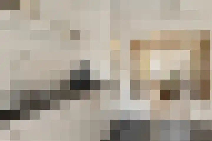 Hoek 22 Genemuiden thumbnail 21
