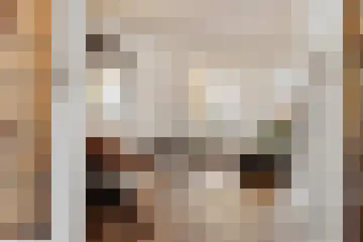 Hoek 22 Genemuiden thumbnail 22
