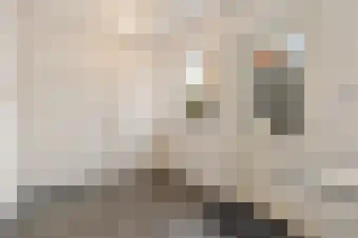 Hoek 22 Genemuiden thumbnail 24