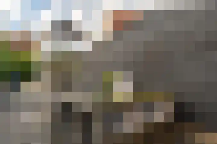 Hoek 22 Genemuiden thumbnail 25