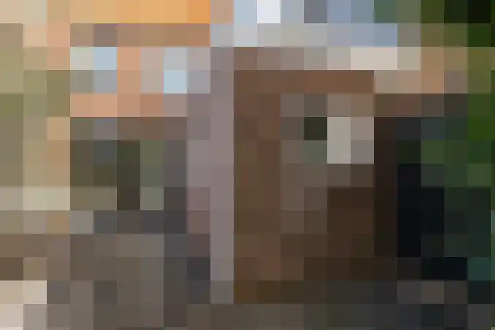 Hoek 22 Genemuiden thumbnail 26
