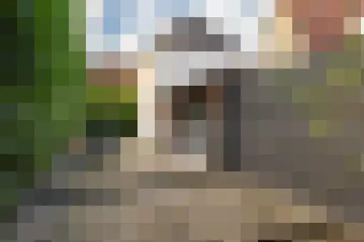 Hoek 22 Genemuiden thumbnail 28