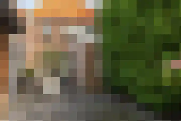 Hoek 22 Genemuiden thumbnail 30