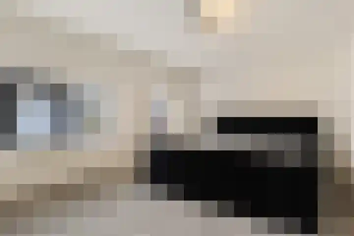 Hoek 22 Genemuiden thumbnail 33