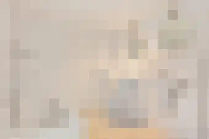 Hoek 22 Genemuiden thumbnail 35