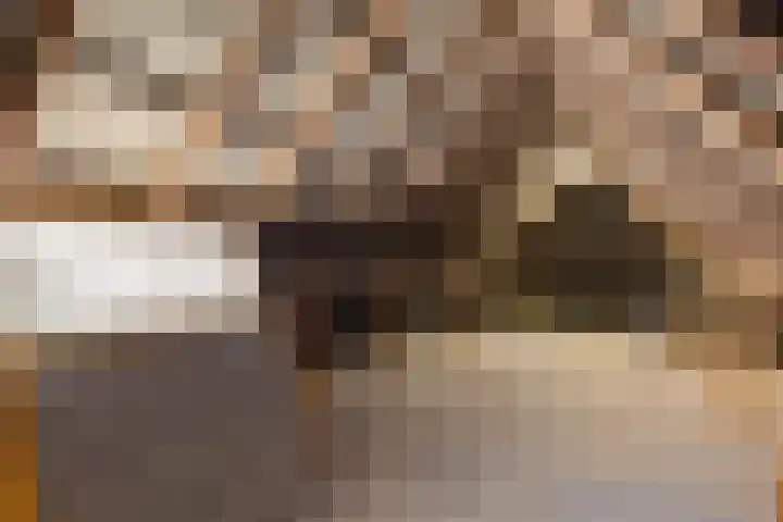 Hoek 22 Genemuiden thumbnail 38