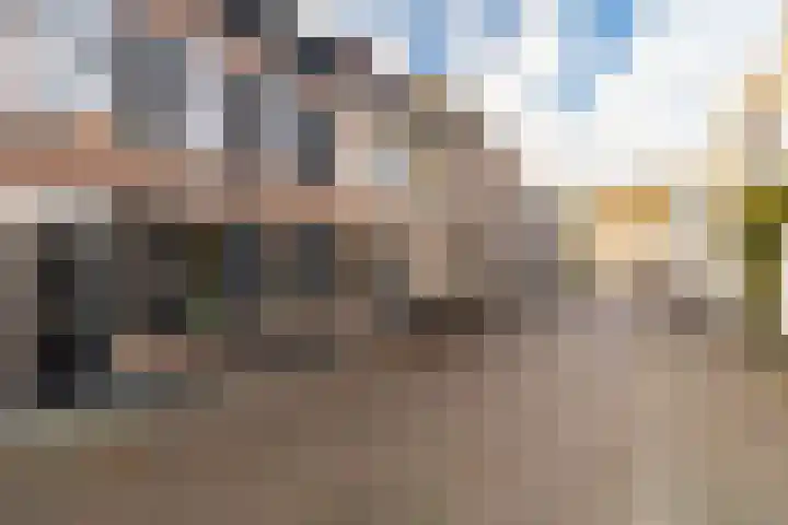 Hoek 22 Genemuiden thumbnail 7