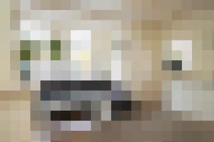 Hoek 26 Genemuiden thumbnail 19