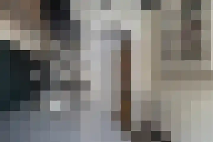Hoek 26 Genemuiden thumbnail 23