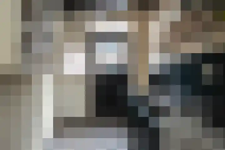 Hoek 26 Genemuiden thumbnail 25