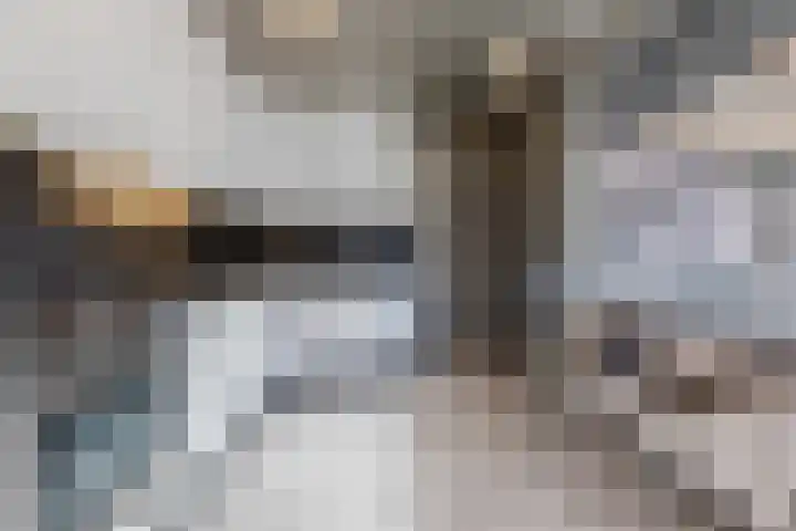 Hoek 27 a Bergeijk thumbnail 11