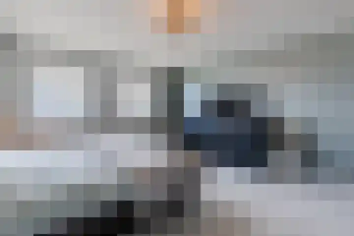 Hoek 27 a Bergeijk thumbnail 14