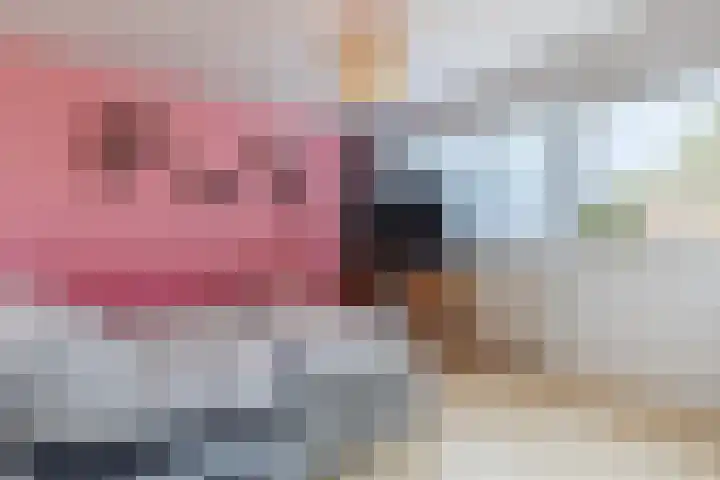 Hoek 27 a Bergeijk thumbnail 16