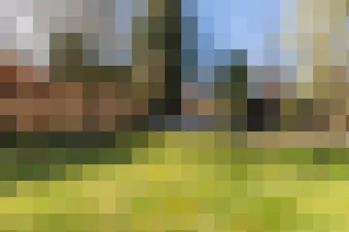 Hoek 27 a Bergeijk thumbnail 27
