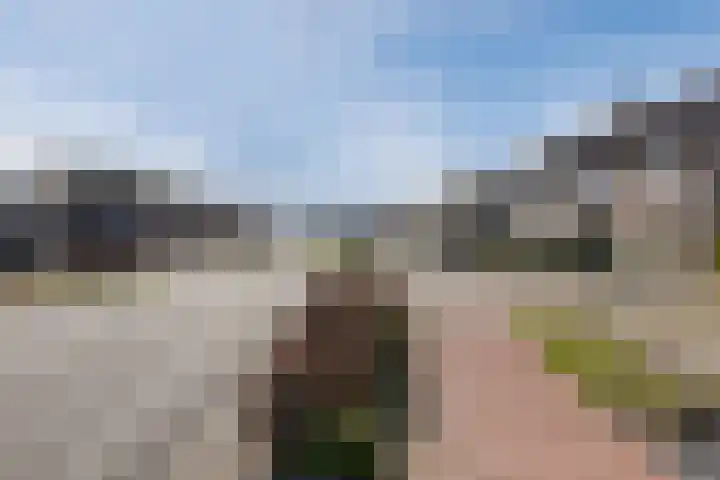 Hoek 27 a Bergeijk thumbnail 30
