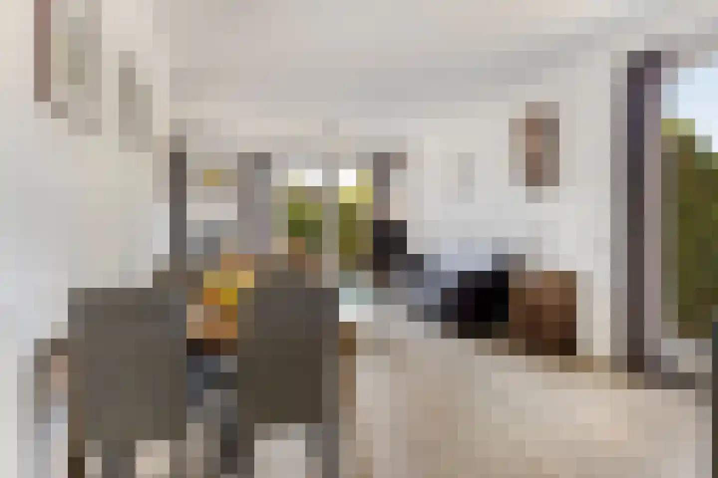 Hoek 27 Dussen thumbnail 15
