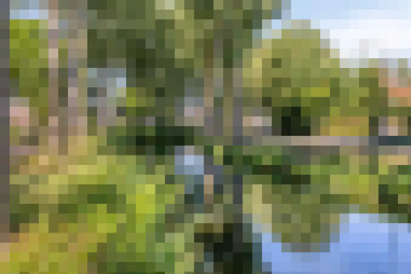 Hoek 27 Dussen thumbnail 36