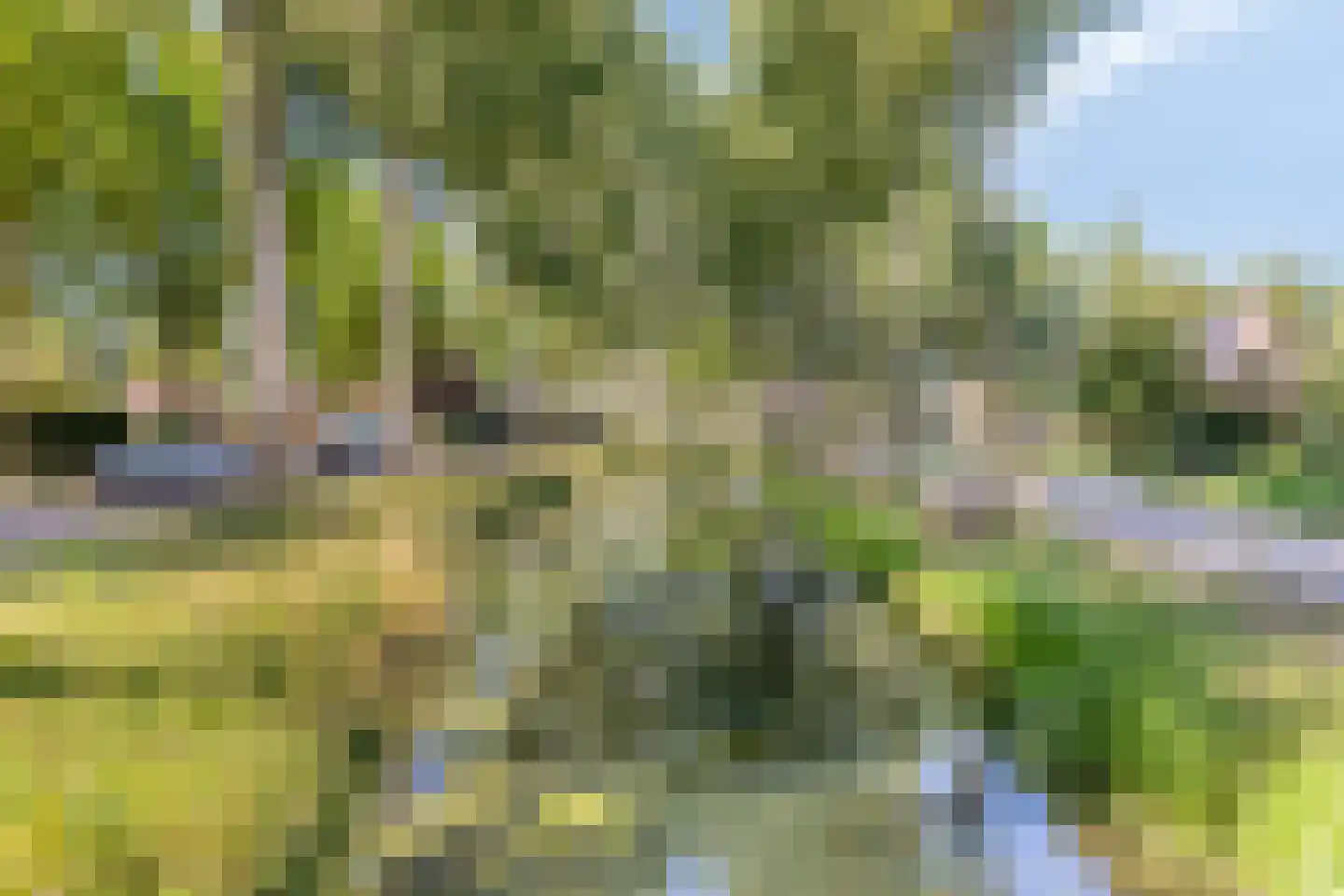 Hoek 27 Dussen thumbnail 37