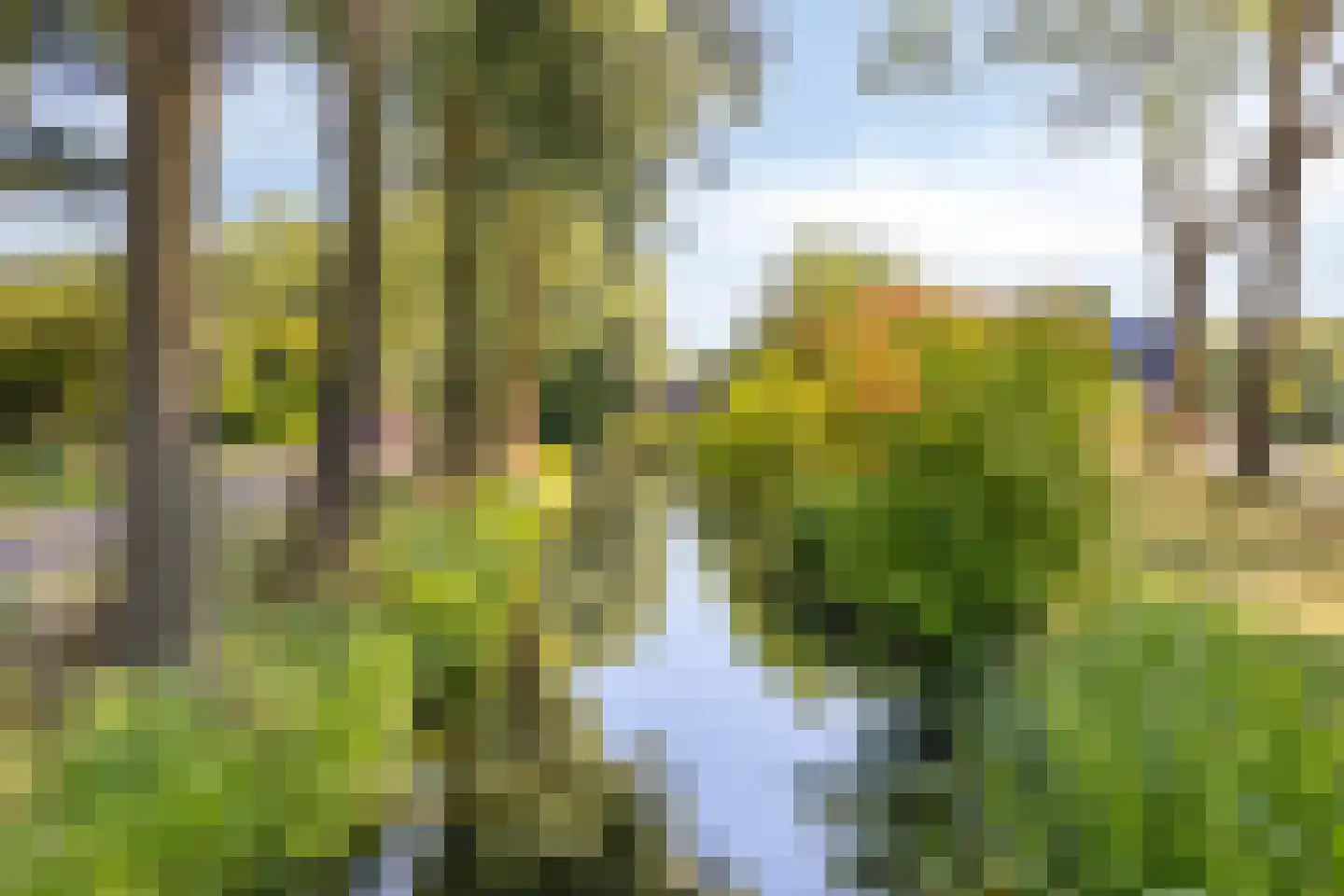 Hoek 27 Dussen thumbnail 38