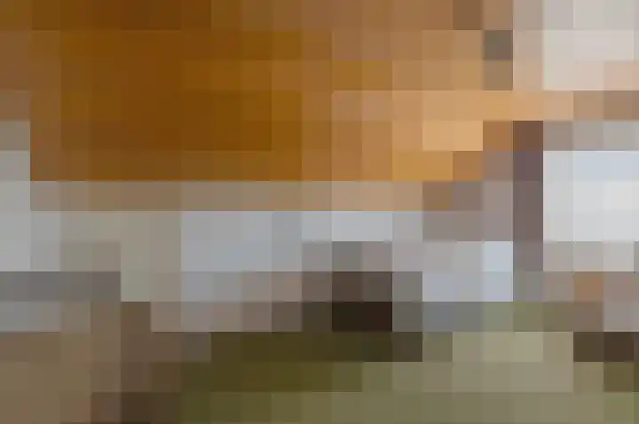 Hoek 35 Bergeijk thumbnail 21
