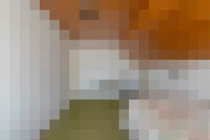 Hoek 35 Bergeijk thumbnail 22