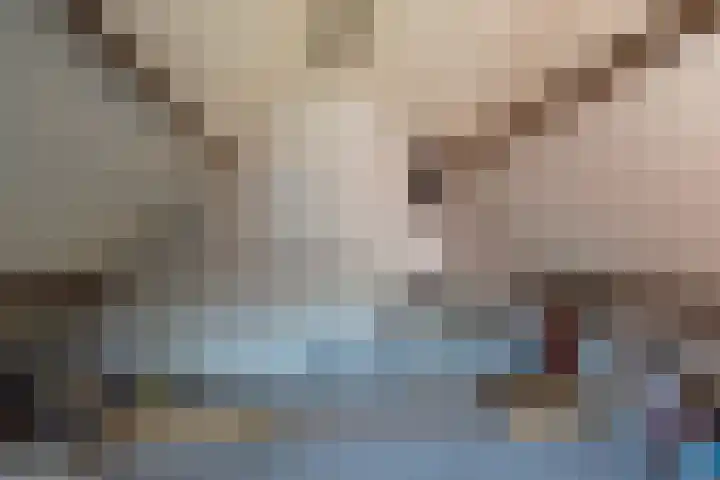 Hoek 35 Bergeijk thumbnail 27