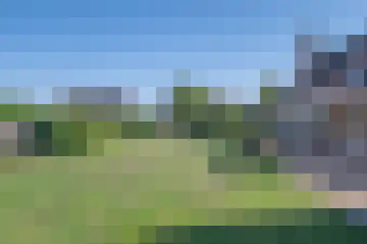 Hoek 35 Bergeijk thumbnail 29