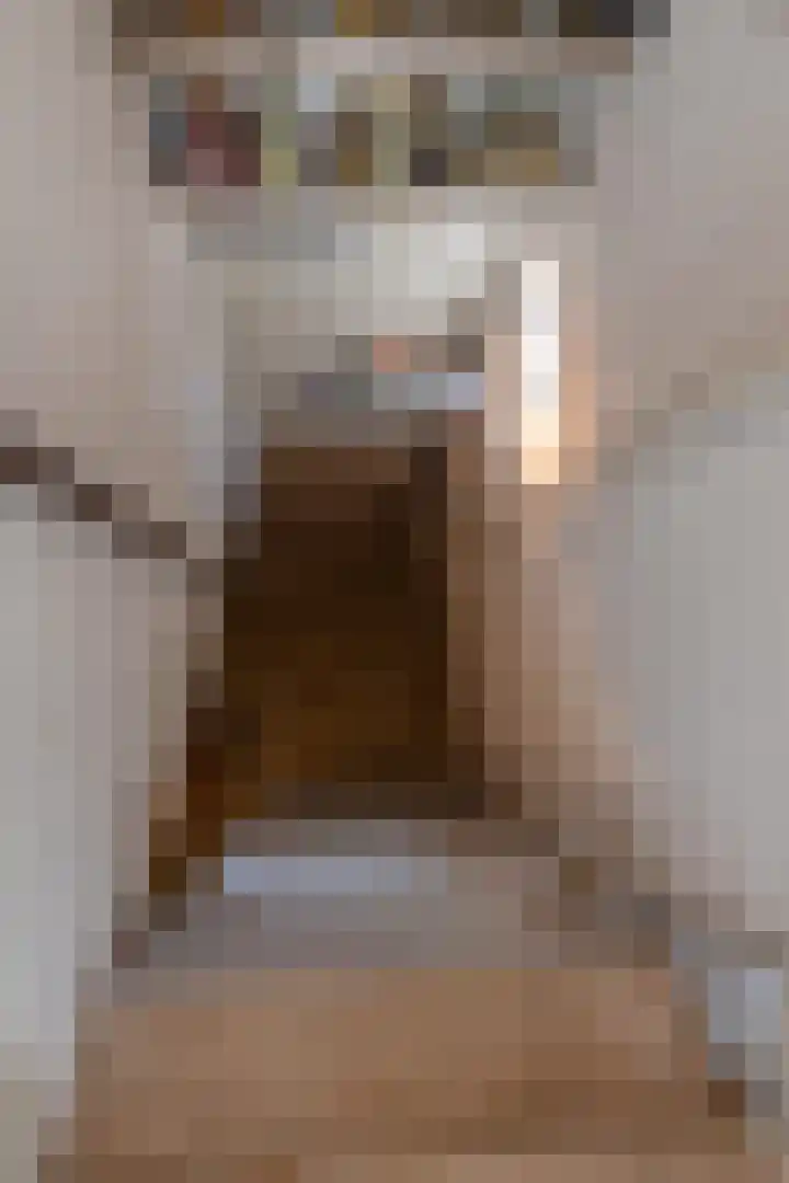 Hoek 35 Bergeijk thumbnail 9