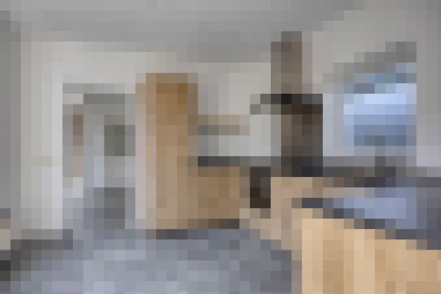 Hoek 49 Bergeijk thumbnail 15