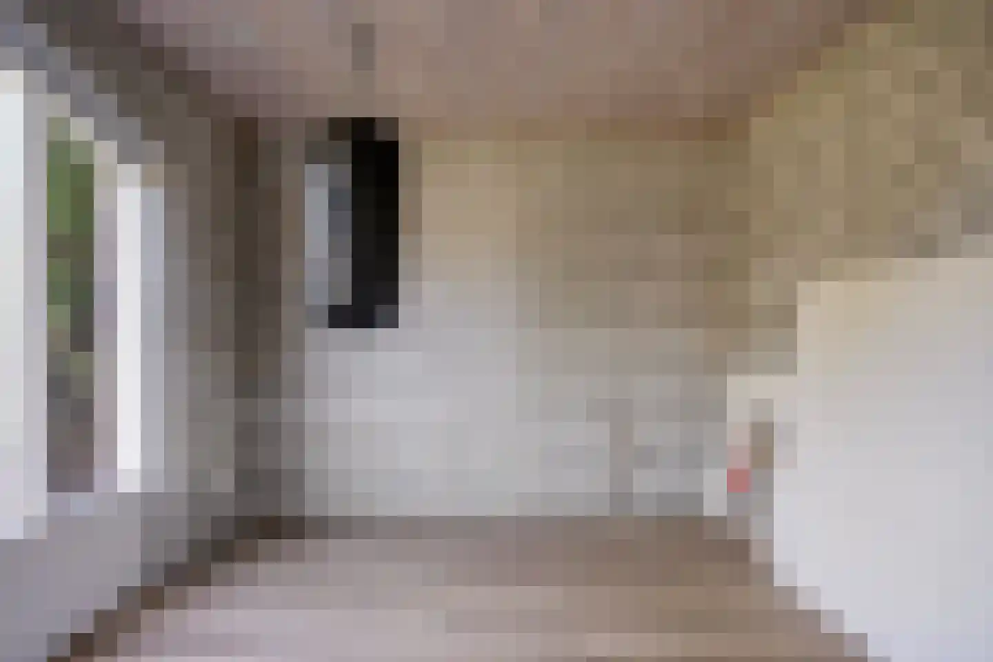 Hoek 49 Bergeijk thumbnail 50