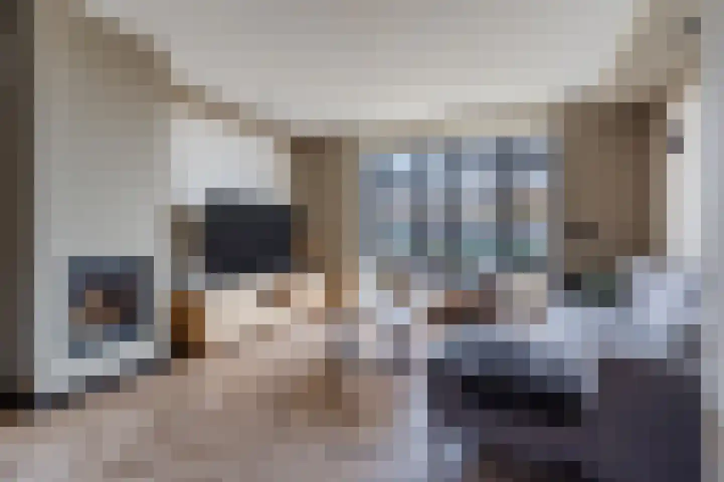 Hoek 53 Bergeijk thumbnail 10