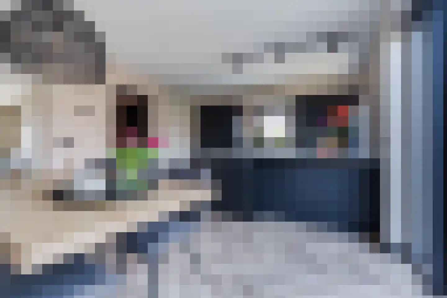 Hoek 53 Bergeijk thumbnail 18