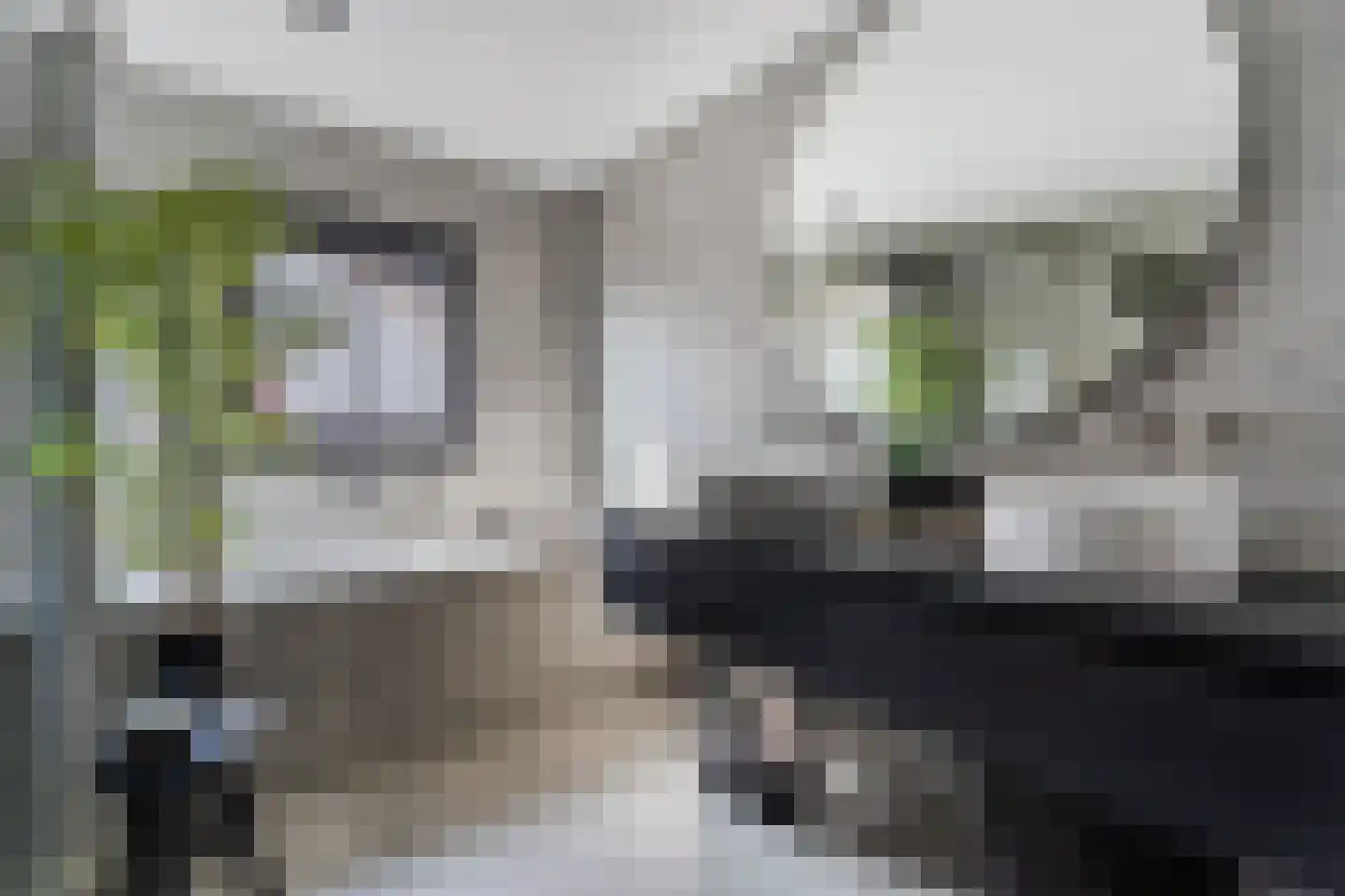 Hoek 53 Bergeijk thumbnail 34