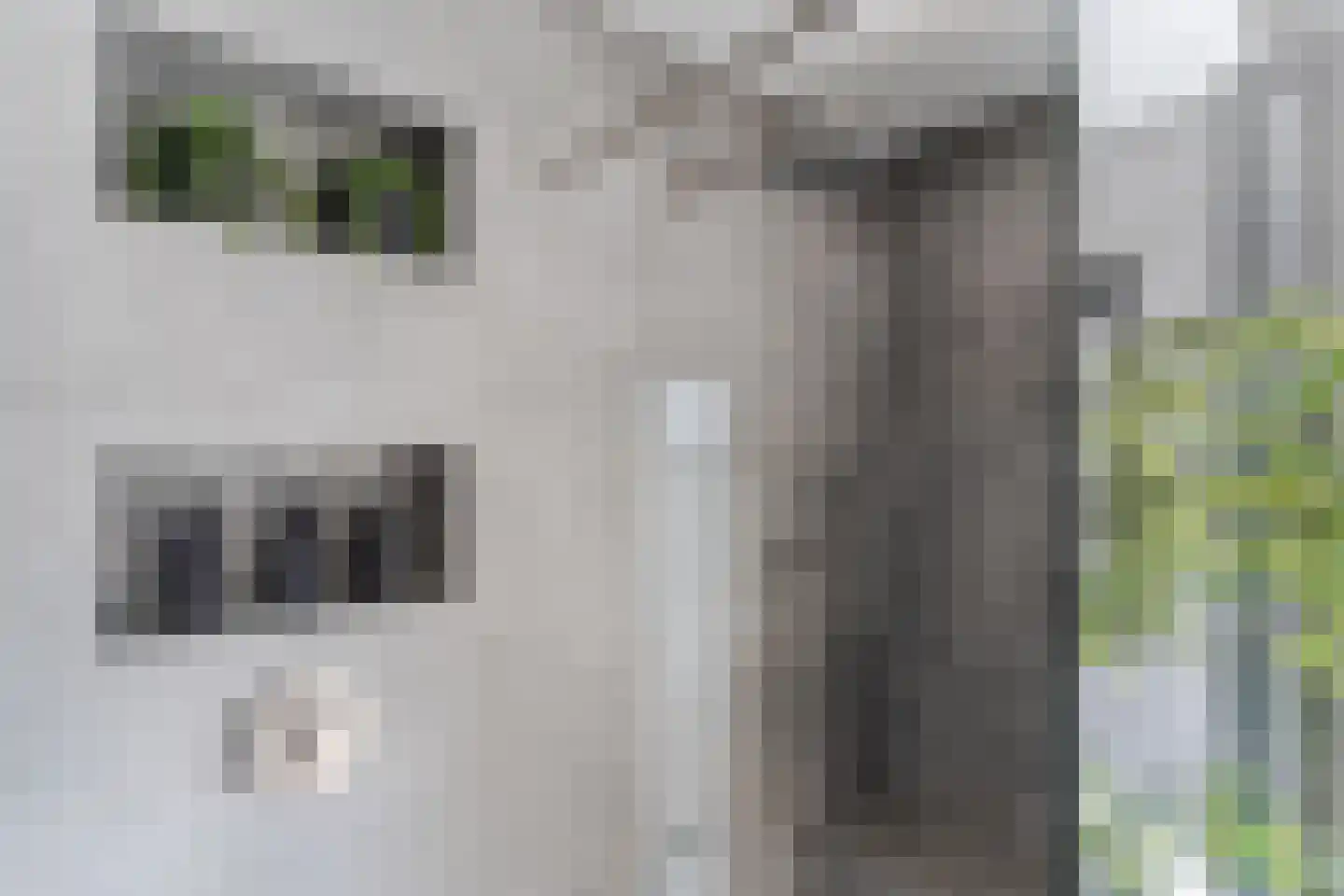 Hoek 53 Bergeijk thumbnail 37